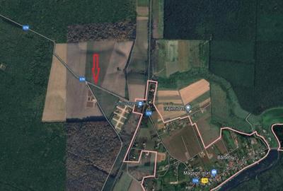Oportunitate investitie,Balteni, Scrovistea-teren intravilan, la padure, 35244mp - 3