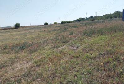 Teren de 15000 mp, în Central - 1