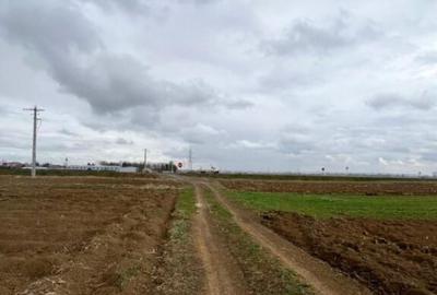 Teren extravilan 2500 mp,cu acces la Centura ,Radauti - 7