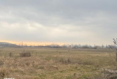 Teren de 3000 mp, în Aninoasa - 4