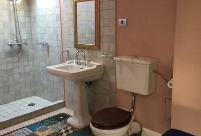 Casă individuală cu 8 camere cu Canalizare în Armeneasca - 13