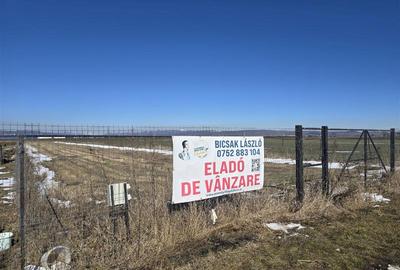 Teren Construcții intravilan de 2498 mp, în Chilieni - 7