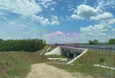 Teren agricol extravilan de 94000 mp, în Albota - 11