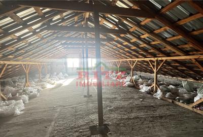 VANZARE/INCHIRIERE HALA INDUSTRIALA, S= 560mp, pod teren 278 - 4