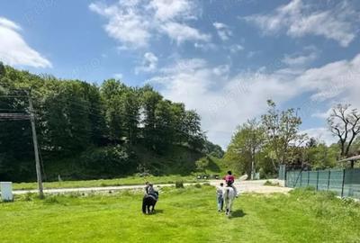 Teren de 800 mp, în Costești - 4