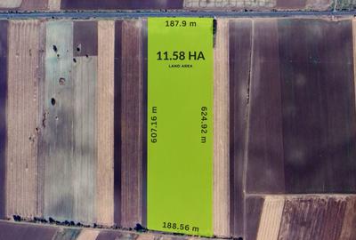 Teren agricol extravilan de 11.579999923706 mp, în Șeitin - 4