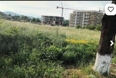 Teren de 5000 mp, în Primăverii - 3