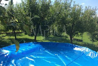 Casă individuală cu 7 camere cu Canalizare în Făget - 3