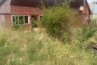 Teren de 7500 mp, în Siret - 5