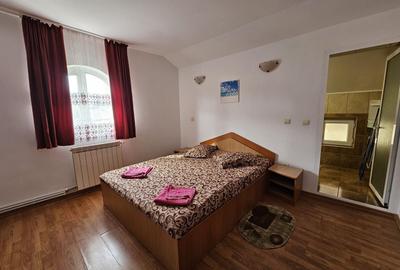 Casă cu 7 camere cu Canalizare în Est - 4