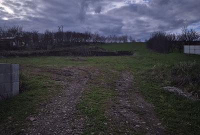 Teren de 5000 mp, în Valea Arini - 3