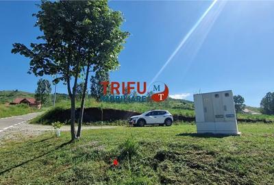 Teren de 1206 mp, în Ciugud - 4