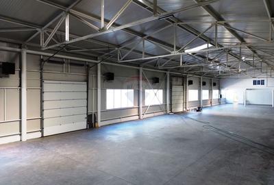 DE VANZARE - Hala industriala + birouri | Tirighina | Teren 9.533 mp - 7