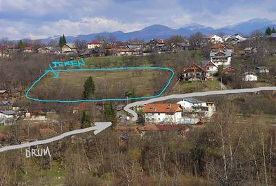 Teren de 10000 mp, în Cornu - 1