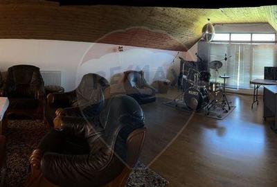 Domeniu - 66 Hectare - Teren deosebit Copsa Mica cu desch... - 4