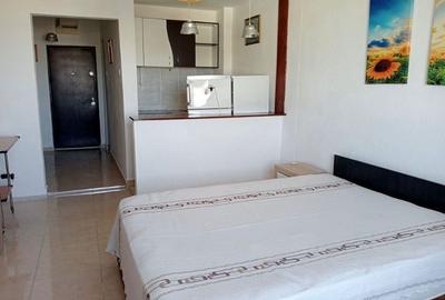 Apartament cu 1 camera, PET FRIENDLY, zona Podu Ros - 2
