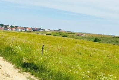 Spațiu comercial, în Cihei - 4