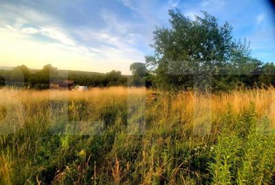 Teren de 1129 mp, în Borhanci