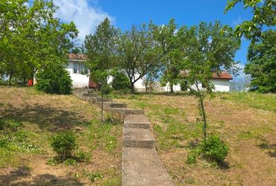 Casă individuală cu 4 camere cu Teren 4500 Mp în Cotu Văii - 5