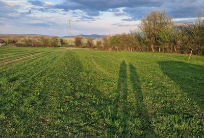 Teren de 3300 mp, în Sadu - 2