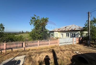 Casa de vanzare Almaj , sat Bogea  4505 mp teren- Negociabil - 2
