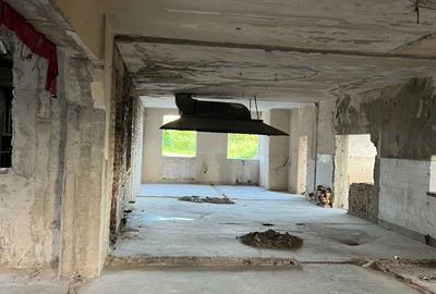 Teren de 4365 mp, în Drăguțești - 8