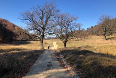 Teren agricol extravilan de 4900 mp, în 13 Decembrie - 10
