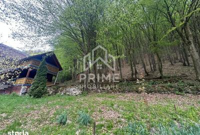 Casă cu 5 camere cu Teren 900 Mp în Ighiu - 2