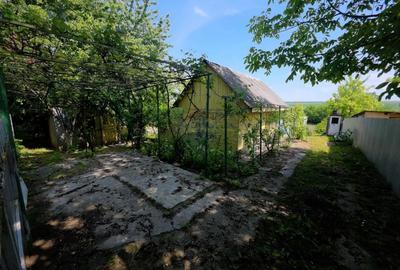 Teren Construcții intravilan de 4516 mp, în Doina - 7