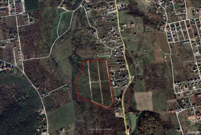 Teren Intravilan, Loturi 619 - 1124 mp, zona Verde, Visan - 5