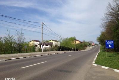 Spațiu comercial, în Vlădiceasca - 5