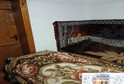 Casă cu 2 camere cu Teren 2636 Mp în Tudor Vladimirescu - 1