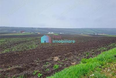 Teren intravilan 1219 mp in Sf. Ilie - 3