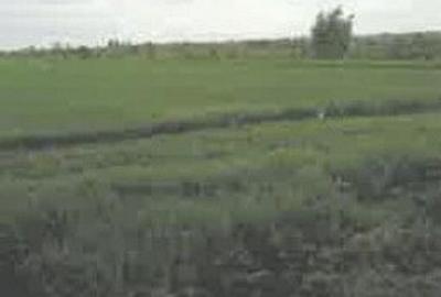 Teren extravilan Pietroasele, ID: R2586802 - 12