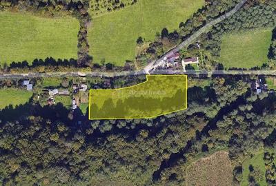 Resita, Teren Drept Intravilan, Langa Prau si Drum, Parcelabil, 4500 Mp., 15 Euro Mp., Renk - 16