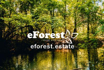 Loturi de vanzare, ce mai mic pret din zona! - 8