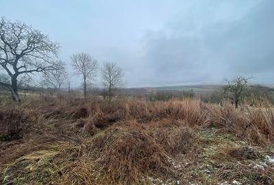 Casa Demolabila | Rediu | Teren 3278 mp | Posibiliate parcelare - 6