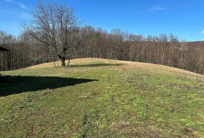 Spațiu comercial, în Borod - 5