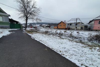 Casa singur în curte - 12