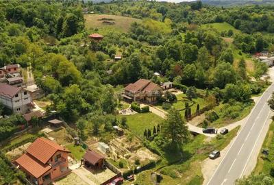 Casă cu Teren 2595 Mp în Calea Caransebeșului