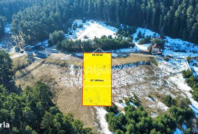 Teren de 3000 mp, în Poiana Angelescu - 19