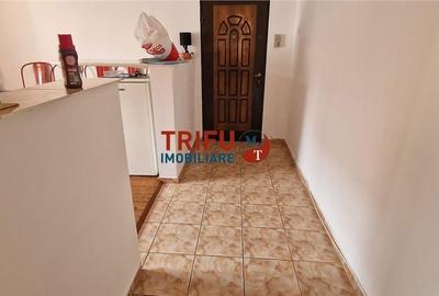 Apartament cu 2 camere semidecomandat în Cetate - 12