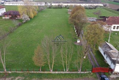 Teren intravilan, deschidere 40 m - Băiculești