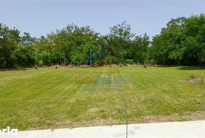 Casă cu 3 camere cu Teren 2500 Mp în Bivolari - 1