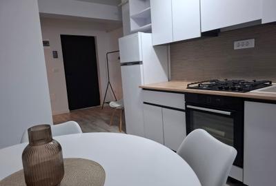Garsonieră nedecomandată în Vișan - 5