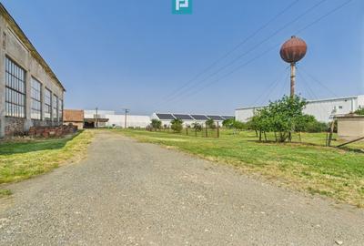 Spațiu industrial, de 700 mp, în Orțișoara - 8