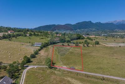 Teren Bran -Sohodol, Strada La mesteceni, 6900mp Teren Bran -Sohodol, Strada La mesteceni, 6900mp - 2