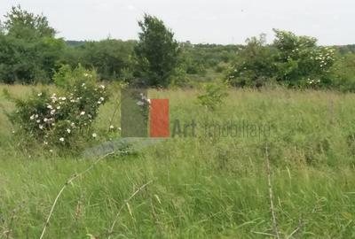 Teren Buftea cu iesire la lac - 22