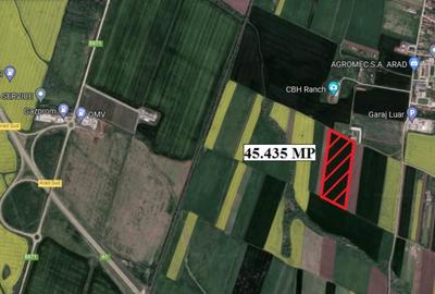 Teren de 45435 mp, în Sânnicolau Mic
