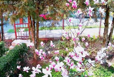 Casa individuala, 130mp utili, 434 teren, garaj, Zorilor! - 6